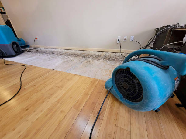 Professional Water Damage Repair technician working in Garland, UT